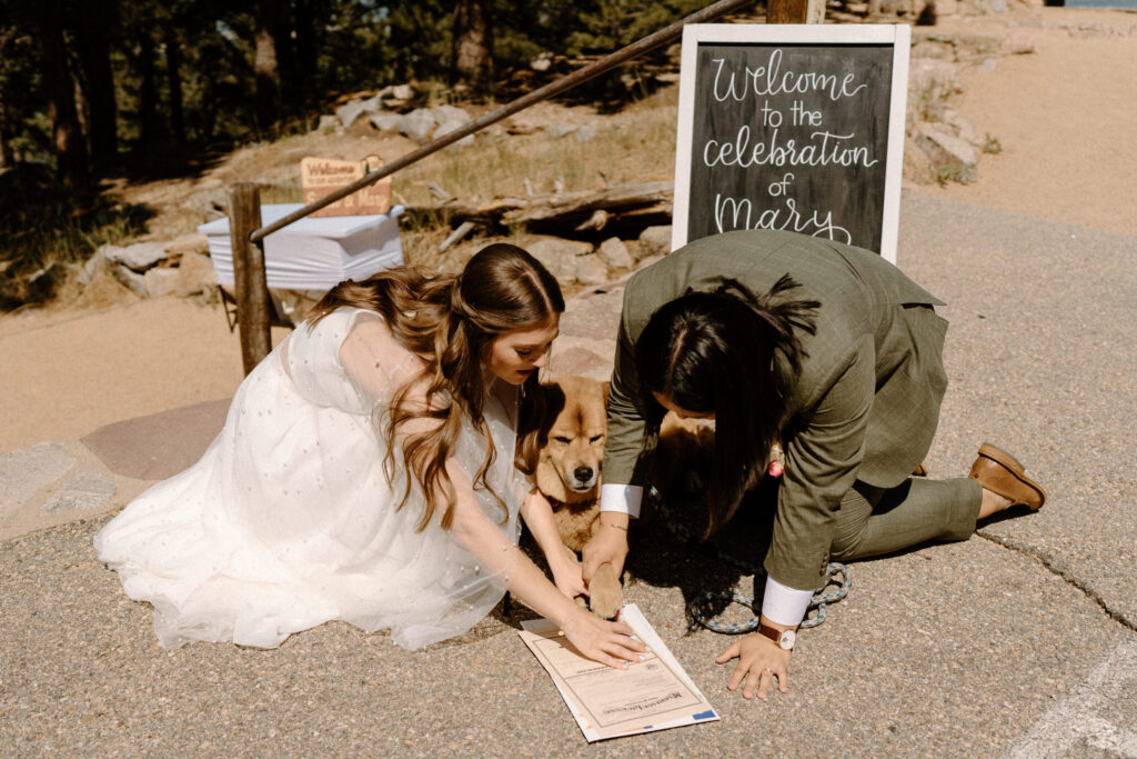 Dog signing marriage license from a wedding at Sunrise Amphitheater 